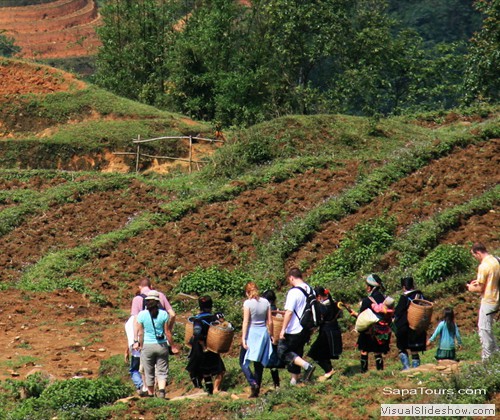 sapa-trekking-route-tour-vietnam-sapatoursdotcom