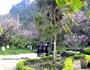 hamrong_mountain-spring-season-sapatoursdotcom