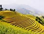 Terraced-Rice-Vietnam-Sapatoursdotcom