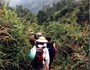 trekking_sapa-sapatoursdotcom